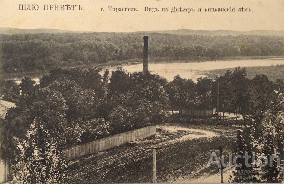 Вид на Днестр и Кицканский лес